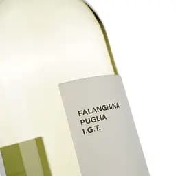 Вино 11.11.11 Falanghina Puglia IGT біле сухе 0.75 л - мініатюра 3