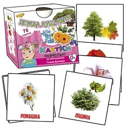 Обучающие карточки Глена Домана. "Деревья, кусты, цветы" MKD0017 укр.