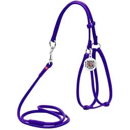 Шлей с поводком для собак Waudog Glamour кожаный с QR паспортом, круглый, фиолетовый