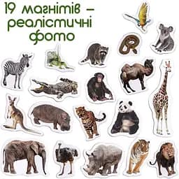Набір магнітів Magdum Зоо 19 шт. ML4031-02 EN  - мініатюра 3