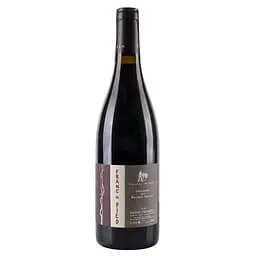 Вино Thierry Germain Domaine des Roches Neuves Saumur-Champigny Franc de Pied 2016 АОС/AOP, 12,5%, 0,75 л (726839)