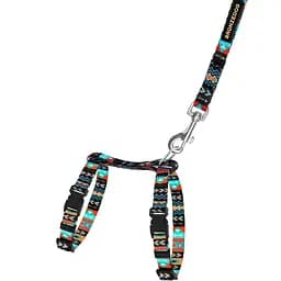 Шлея для котів та собак дрібних порід BronzeDog Urban Орнамент ацтеки з нашивкою та повідцем XS 18-27 см