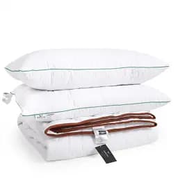 Набір MirSon вовна №9555 Gold Silk Wool літо ковдра 200х220 см + 2 подушки білий (2200010806502)