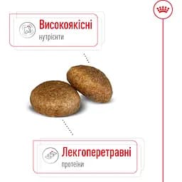 Сухий корм Royal Canin Maxi Adult для дорослих собак великих порід з м'ясом птиці та кукурудзою 15 кг - мініатюра 4
