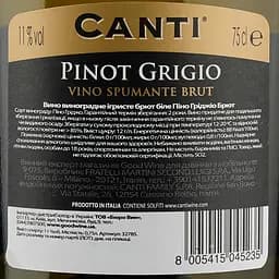 Вино ігристе Canti Pinot Grigio Brut, біле, брют, 11,5%, 0,75 л (32785) - мініатюра 3