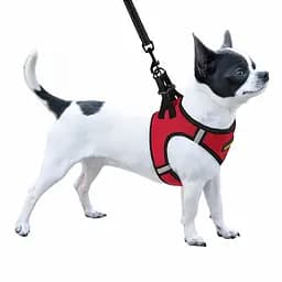 Шлея для собак Bronzedog Sport Vest M 24х18х3 см червона - мініатюра 3
