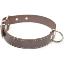 Ошейник для собак Zoo-hunt кожаный О коричневый 1,0/17-22 см