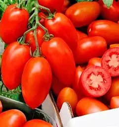 Насіння Весна на вагу Томат Сер Еліан ціна за 1 г (178263)