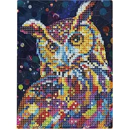 Алмазна мозаїка "Сова" DM3005 з мольбертом 17x22.5 см