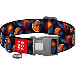 Нашийник для собак нейлоновий Waudog Nylon з QR паспортом малюнок Апельсини S 