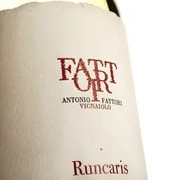 Вино Fattori Runcaris Soave Classico біле сухе, 0,75 л, 12,5% (795901) - мініатюра 3