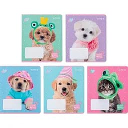 Набор тетрадей Kite Studio Pets А5 в клетку 18 листов 20 шт. (SP24-236)