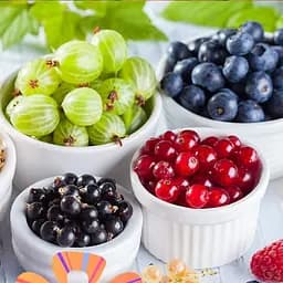 Саджанець Agro-Market Agrobox з саджанцем найсмачнішої ягоди на планеті 1 шт. в пакуванні (48057)