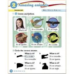 Grammar Goals Level 1. Pupil's Book with CD-ROM - мініатюра 4