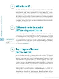 Tort Law Directions - мініатюра 3