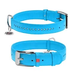 Нашийник для собак шкіряний Waudog Glamour з QR-паспортом подвійний зі стразами XL Ш 35 мм Д 46-60 см блакитний