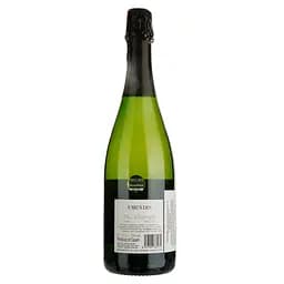 Вино ігристе Emendis Cava Nu allonge Demi Sec Cava DO напівсухе 0.75 л - мініатюра 2
