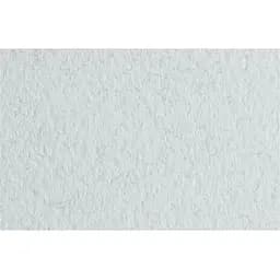 Бумага для пастели Fabriano Tiziano A4 (21х29.7см) №32 brina 160г/м2 белая среднее зерно