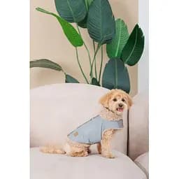 Шлея-жилет Pet Fashion Rob для собак розмір XS - мініатюра 10