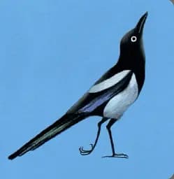Birds - мініатюра 6