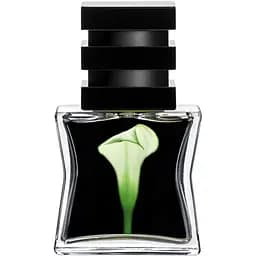 Парфюмированная вода SG 79/STHLM № 22, 15 мл