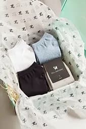 Набор носков короткие летние бесшовные, дышащие качественные ORGANIC cotton носки JILL ANTONY 8, 39-41