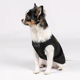 Боротьба Pet Fashion FBI для собак, розмір M2, чорна - мініатюра 6