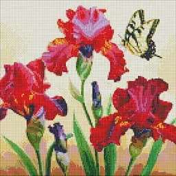 Алмазна мозаїка Вишукані іриси 40x40 см AMO7650