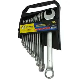 Набір ключів комбінованих Сталь CRV сатин 6-22 мм 12 шт. (69210)