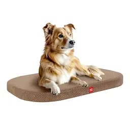 Лежанка для собак Waudog Relax дорос велюр со съемным чехлом бежевый L