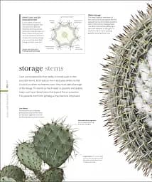 The Science of Plants - мініатюра 5