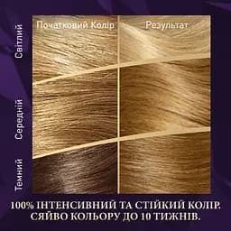 Стійка крем-фарба для волосся Wella Color Perfect 12/1 Перламутровий блонд (4064666824017) - мініатюра 3