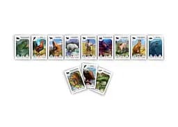 Настільна гра Rozum Картолінія: Тварини (Cardline: Animals) (укр.) (R041UA) - мініатюра 3
