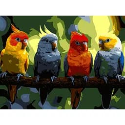Картина по номерам Strateg Яркие попугаи 30х40 см (SS-1267)