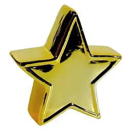 Копилка Звезда