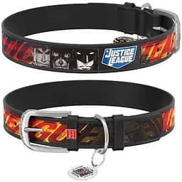 Ошейник для собак Waudog Design кожаный с QR паспортом, рисунок Лига Справедливости, S, Ш 15 мм, Дл 26-35 см (4823089323060)
