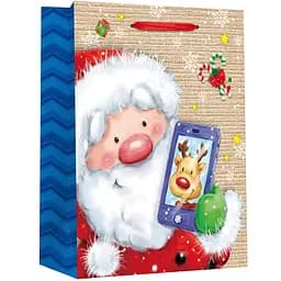 Пакет подарочный Malevaro Medium Xmas 17.8x9.8x22.9 см (22-9645-A-4)