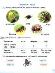Я досліджую світ 1 клас. Робочий зошит. Частина 2 - мініатюра 2