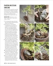 Grow Bonsai - мініатюра 13