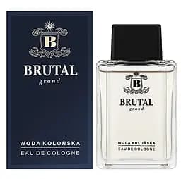 Одеколон для чоловіків La Rive Brutal Grand, 100 мл (W000009500) - мініатюра 2