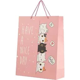 Пакет подарунковий XDW111163 Рожевий