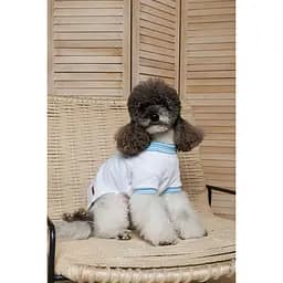 Футболка Pet Fashion Polo для собак XS - мініатюра 7