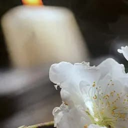 Вінілова наклейка на стіл Білі квіти на камінні самоклеюча Чорний 60х120 см Happy Pocket Z181696 - мініатюра 5
