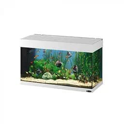 Аквариум Ferplast DUBAI 80 WHITE - 125 L 81 x 36 x h 51 cm