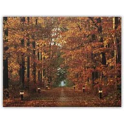 Картина зі світловими ефектами Devilon Осінній ліс зі стежкою палаючих ліхтарів 6 LЕD ламп 30х40 см (940102)