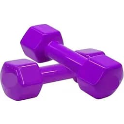 Гантелі для фітнесу Newt Vinyl NE-VIN-15-V 2 шт. по 1.5 кг фіолетові