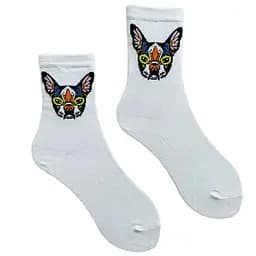 Носки женские "Французский Бульдог" из индийского хлопка белые 213050