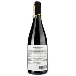 Ігристе вино Vigneto Saetti Rosso Viola Lambrusco dell'Emilia червоне сухе 0.75 л - мініатюра 2