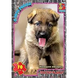 Детский пазл Домашние питомцы AN149 плакат 70 элементов