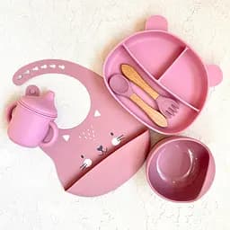 Набір для прикорму Ведмедики BPR img_e6670 pink поїльник із носиком (дитячий)